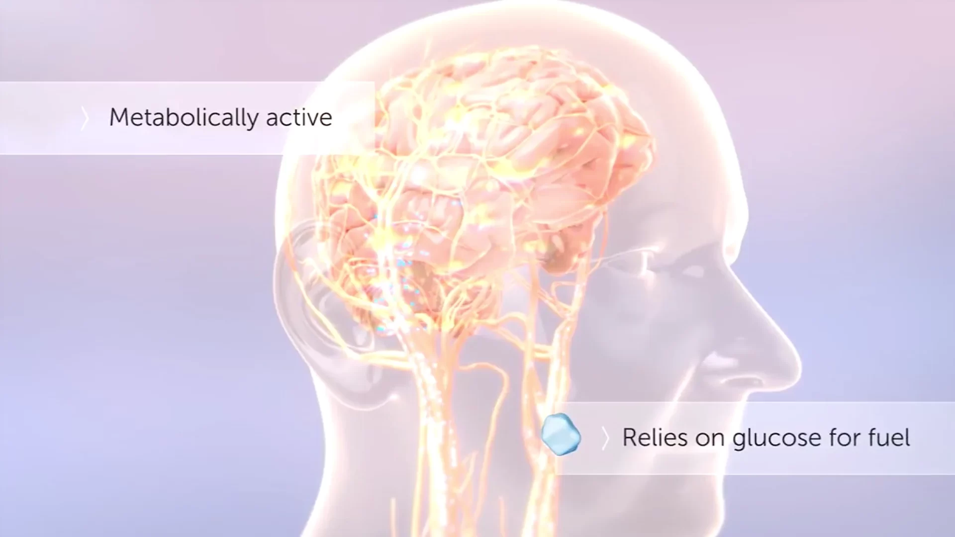 accera-ipad-inset10-hd