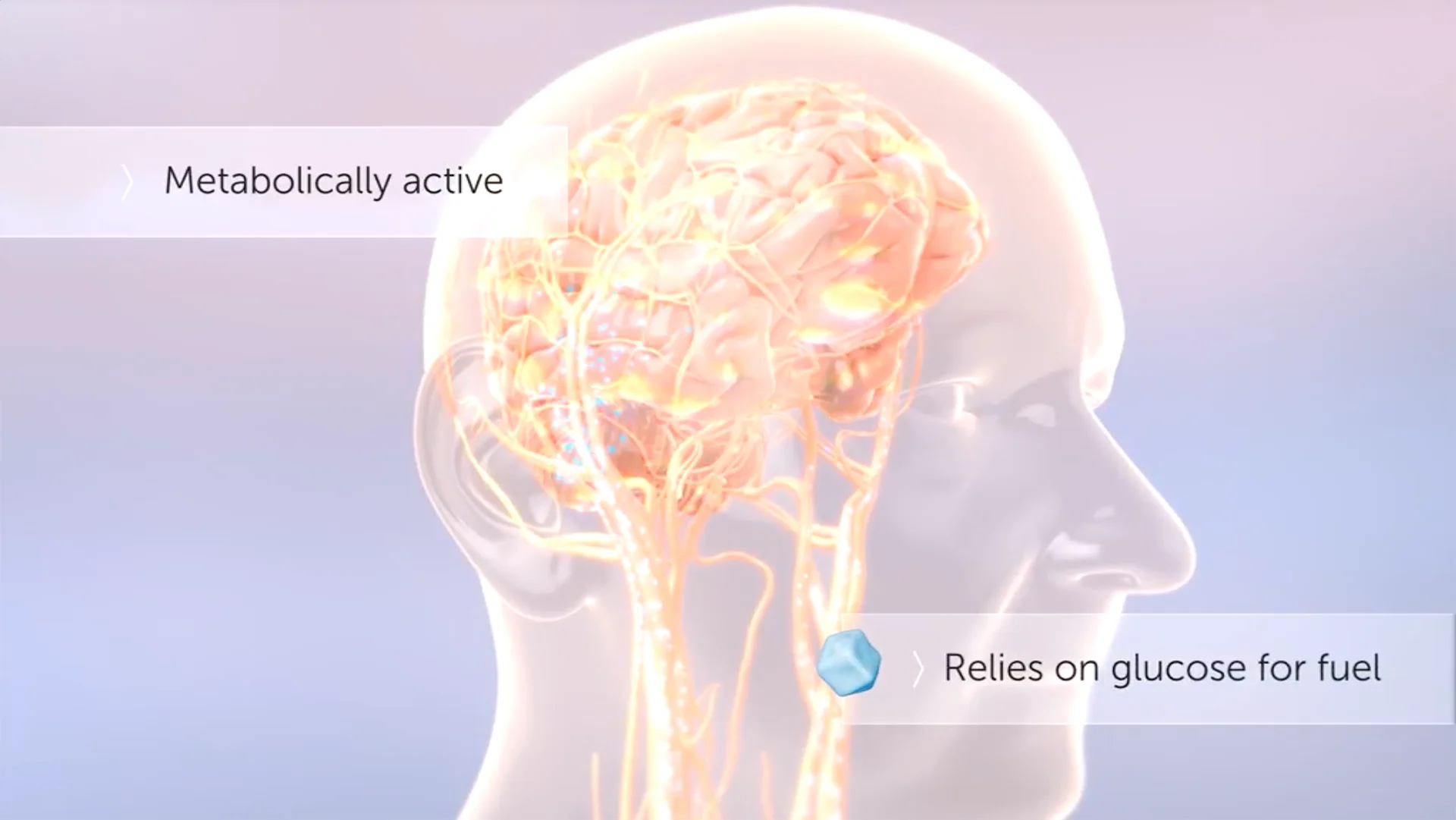 AbbVie Aesthetics Presentation